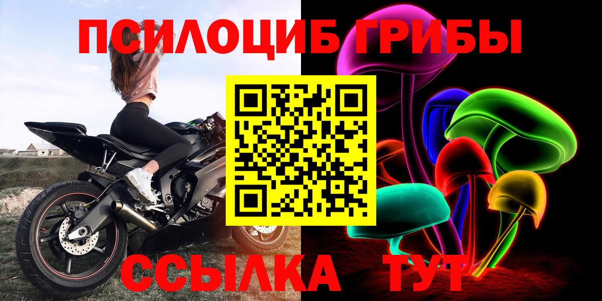 Псилоцибиновые грибы Cubensis Брянск